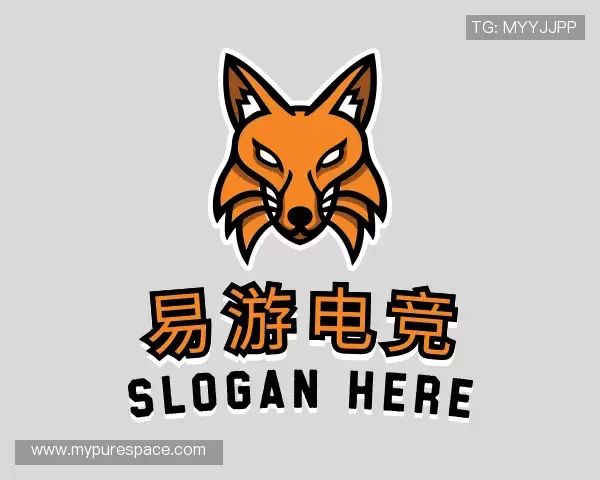 介绍易游电竞